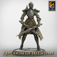 Lop-230116 Elf Soldier DualSword Low
