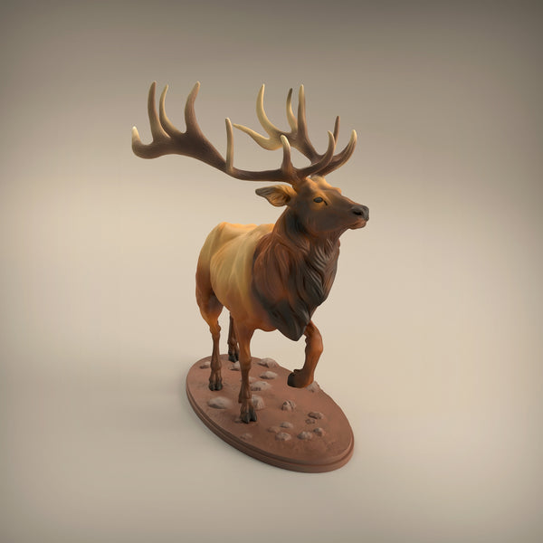 Anml-w01 Elk