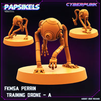 pap-2208c09 FKMSA_PERRIN_TRAINING_DRONE_A