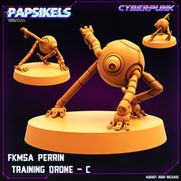 pap-2208c11 FKMSA_PERRIN_TRAINING_DRONE_C