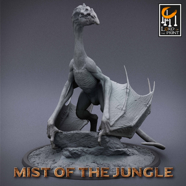 Lop-230242 Protowyvern Stare