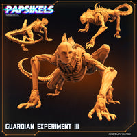 pap-2208s08 GUARDIAN_EXPERIMENT_III