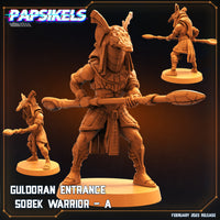 pap-2302s13 GULDORAN ENTRANCE WARRIOR C