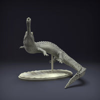 Anml-220808 Gharial Swim