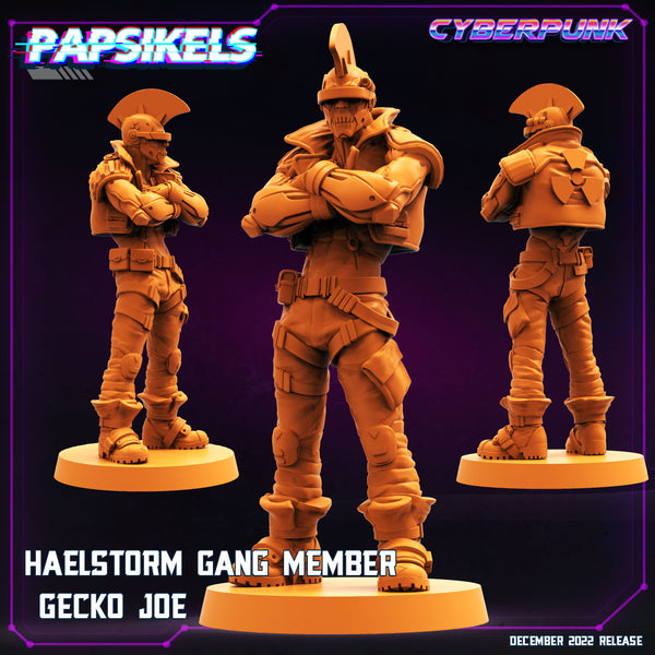 pap-2212c12 HAELSTORM GANG MEMBER GECKO JOE
