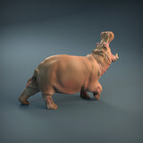 Anml-w04 Hippopotamus