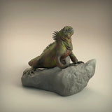 Anml-w06 Marine_Iguana