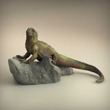 Anml-w06 Marine_Iguana