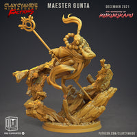 ccm-f211207 TURTLE-FOLK Maester Gunta