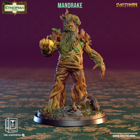 ccm-2303e07 Mandrakes