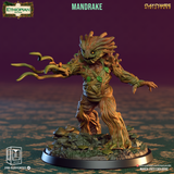 ccm-2303e07 Mandrakes