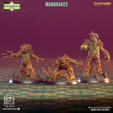 ccm-2303e07 Mandrakes