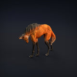 Anml-w05 Maned wolf