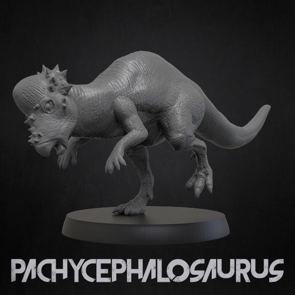 3ip-dino17 パキケファロサウルス