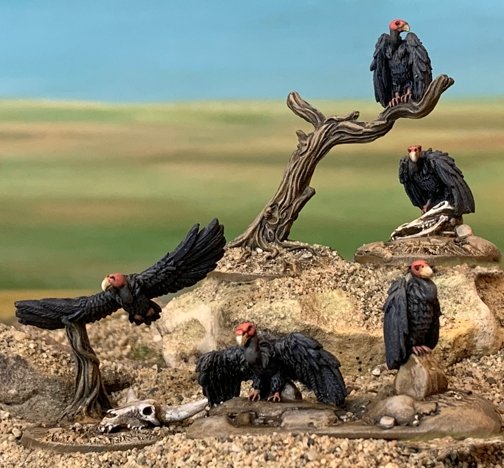 PMX12 Vultures