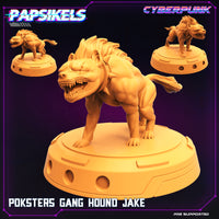 pap-2201c13 POKSTERS_GANG_HOUND_JAKE