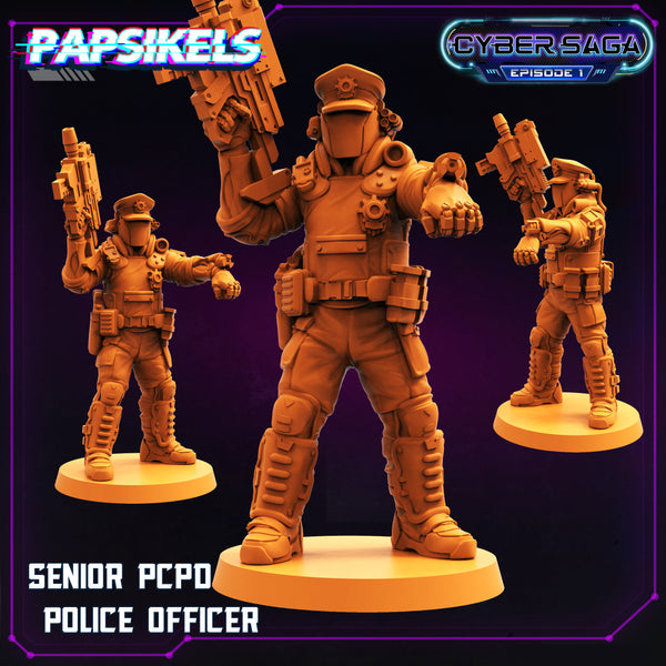 Pap-cybr119 SENIOR PCPD POLICE OFFICER