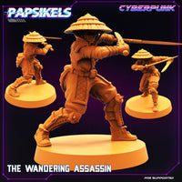 pap-2207c11 THE_WANDERING_ASSASSIN