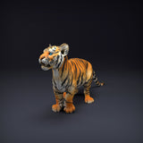 Anml-220801 Bengal_Tiger_Cub