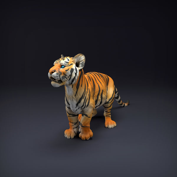 Anml-220801 Bengal Tiger Cub