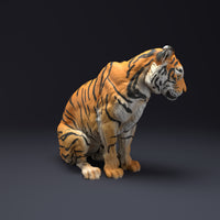 Anml-220805 Bengal Tiger Sit