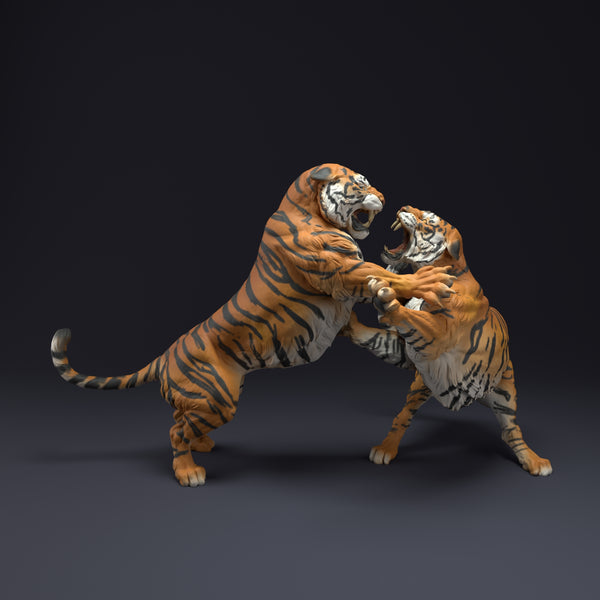 Anml-220806 Bengal Tigers Fight