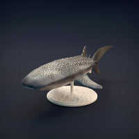 Anml-w08 Whale_shark