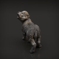 Anml-w10 Wolf pup