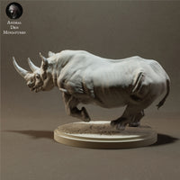 Anml-230206 Black Rhino Charging