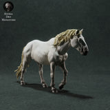 Anml-221101 Camargue Horse