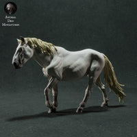 Anml-221101 Camargue Horse