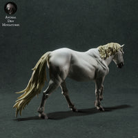 Anml-221101 Camargue Horse