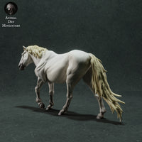 Anml-221101 Camargue Horse