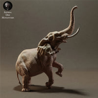 Anml-230203 African Bush Elephant Bulls Standing