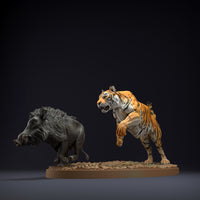 Anml-220802 Bengal Tiger Indian Boar Hunt