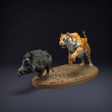 Anml-220802 Bengal Tiger Indian Boar Hunt