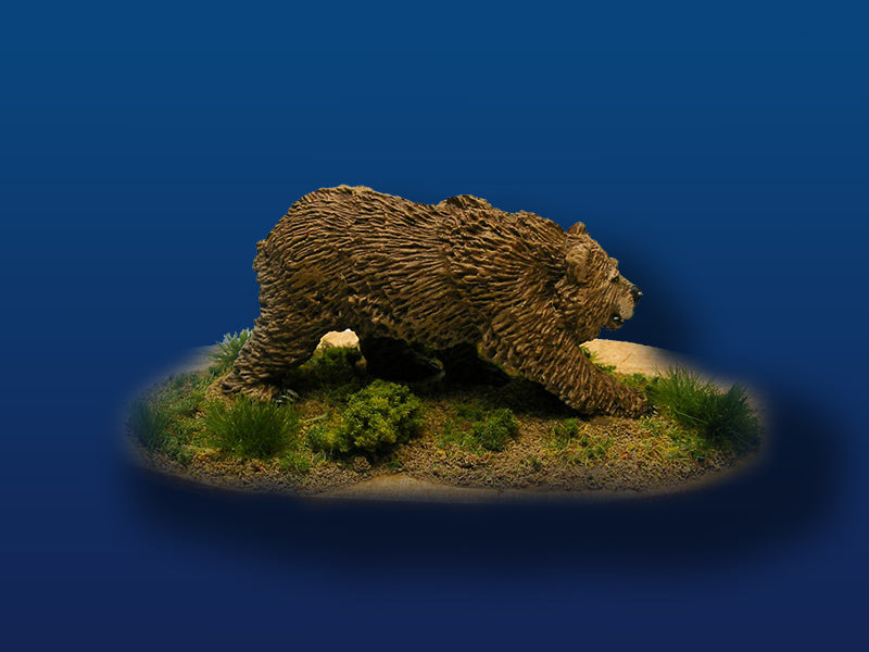 pd2064-shortfaced-bear-walking
