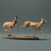 Anml-221015 Pronghorn Chase