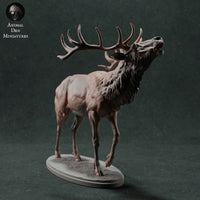 Anml-221112 Red Deer Stag Call