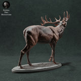 Anml-221112 Red Deer Stag Call