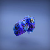 Anml-w13 bobtail squid