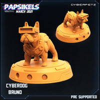 pap-2103c05 cyberdog bruno