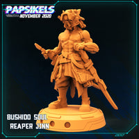 pap-2011c05 bushido soul reaper jinn