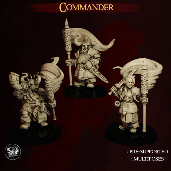 MF-evd01 Dwarf Army Commander