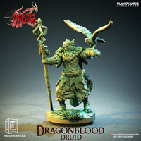 Ccm-e210710 Dragonblood druid
