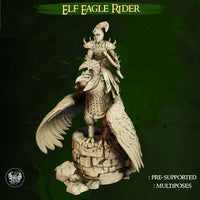 MF-evd15 High Elf Eagle Rider