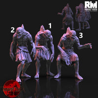 RM-tempm060 Ghouls 3スタイル