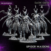 DG-qd05 Spider_maidens 5スタイル