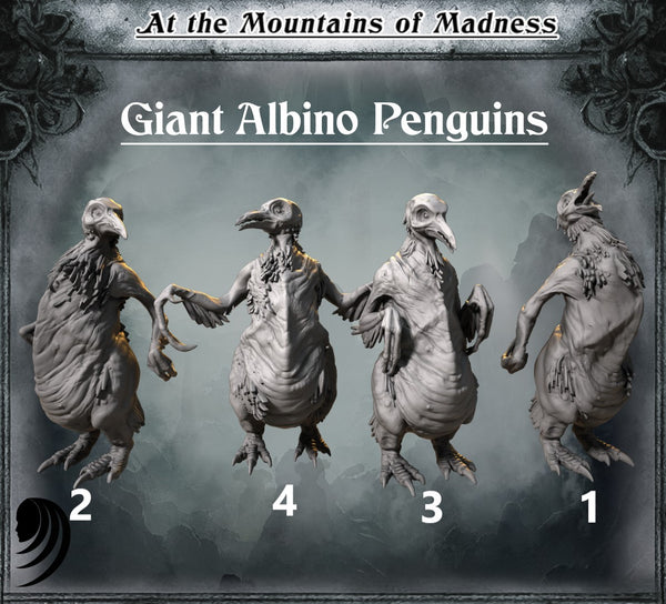 Mdp-amm10 giant albino penguins