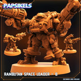 Pap-221209 Rambutan space loader b